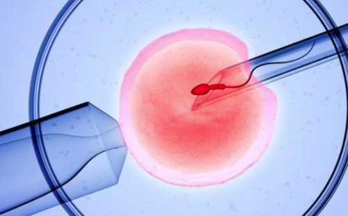 2026重庆第三代试管包生男孩费用分析-附代怀生子机构推荐						,试管包男孩25万